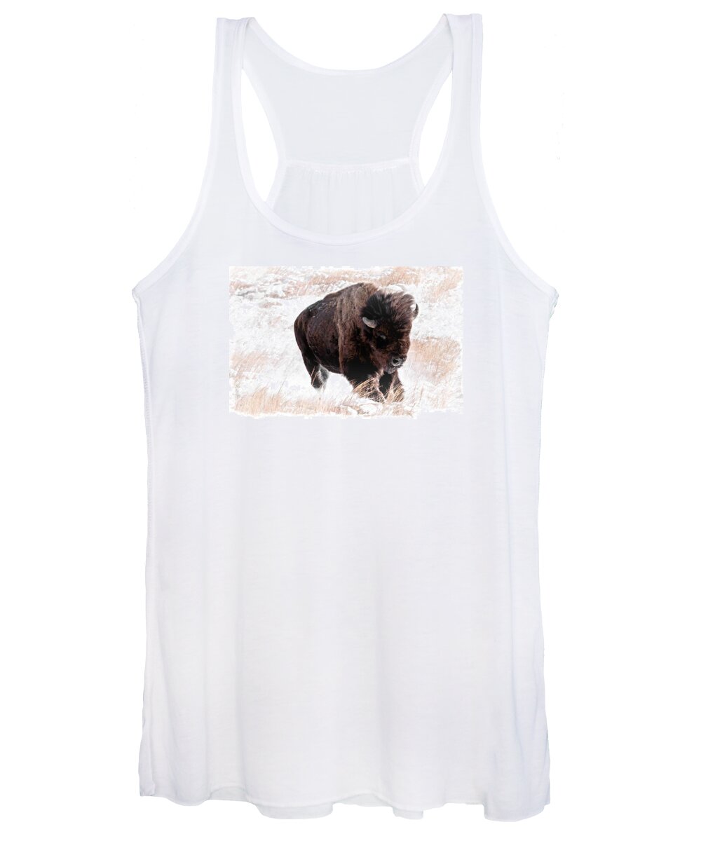 Wildlife Women's Tank Top featuring the photograph On The Run by Donald J Gray