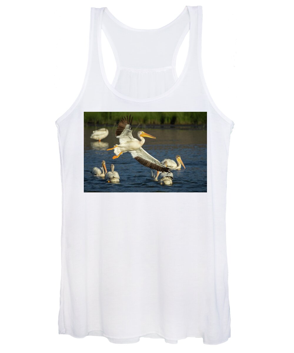 Pelican Women's Tank Top featuring the photograph Pelicans 1 by Rick Mosher