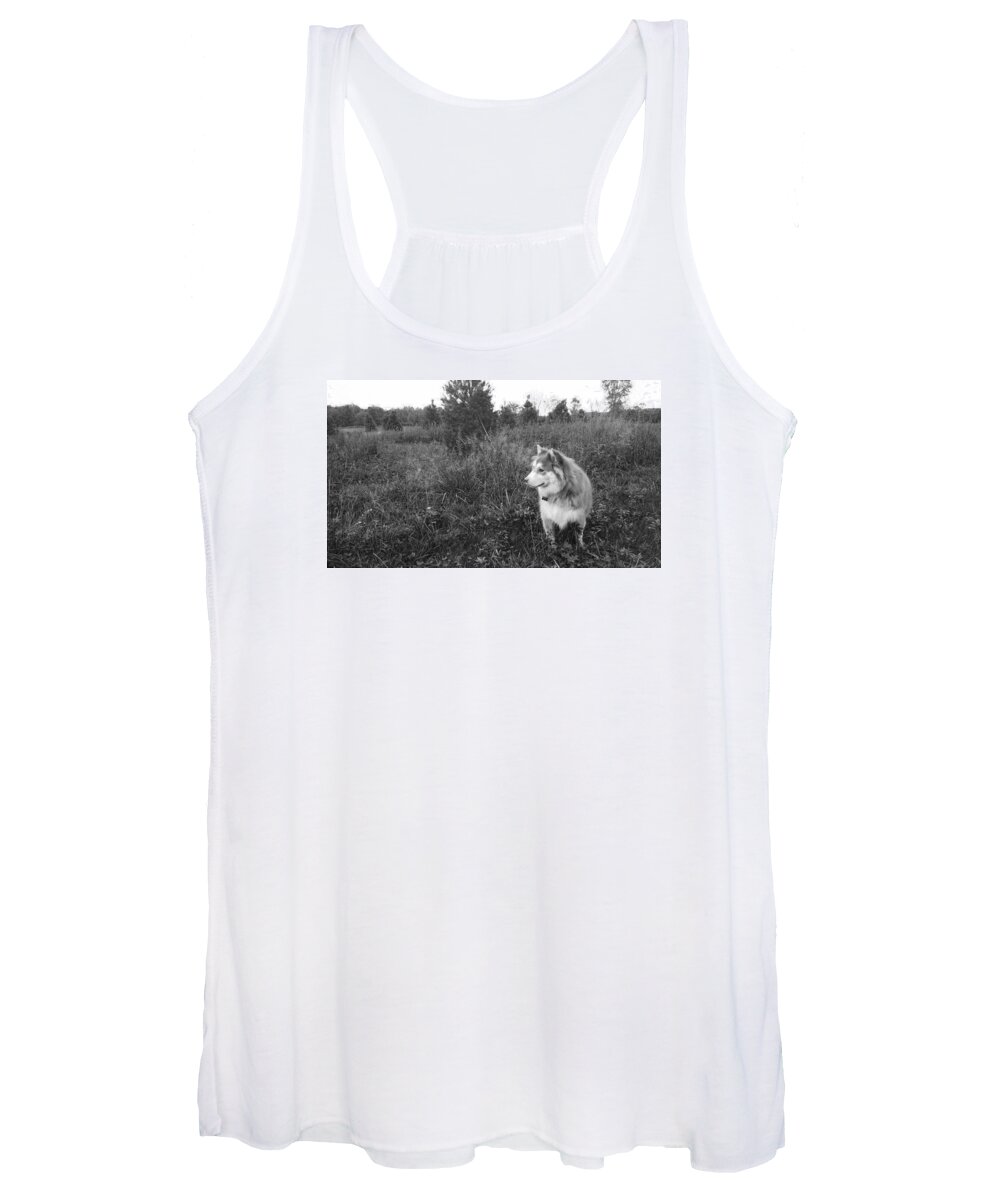 Husky Women's Tank Top featuring the photograph Pensive Dog by Brad Nellis