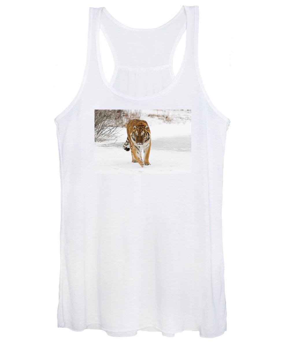Tiger Women's Tank Top featuring the photograph Prowling Tiger by Scott Read