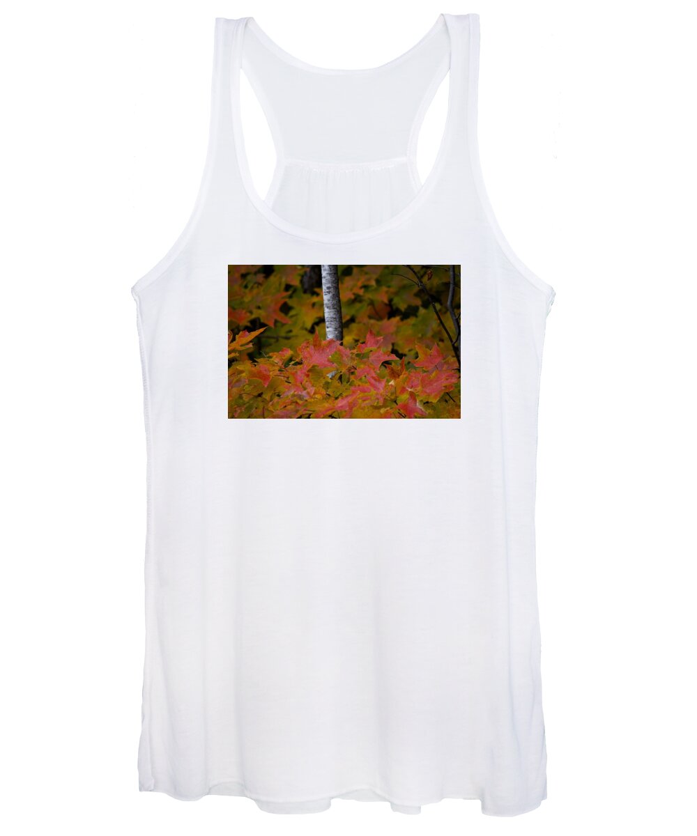 Maple Leaves Women's Tank Top featuring the photograph Red Maple Leaves by Hella Buchheim
