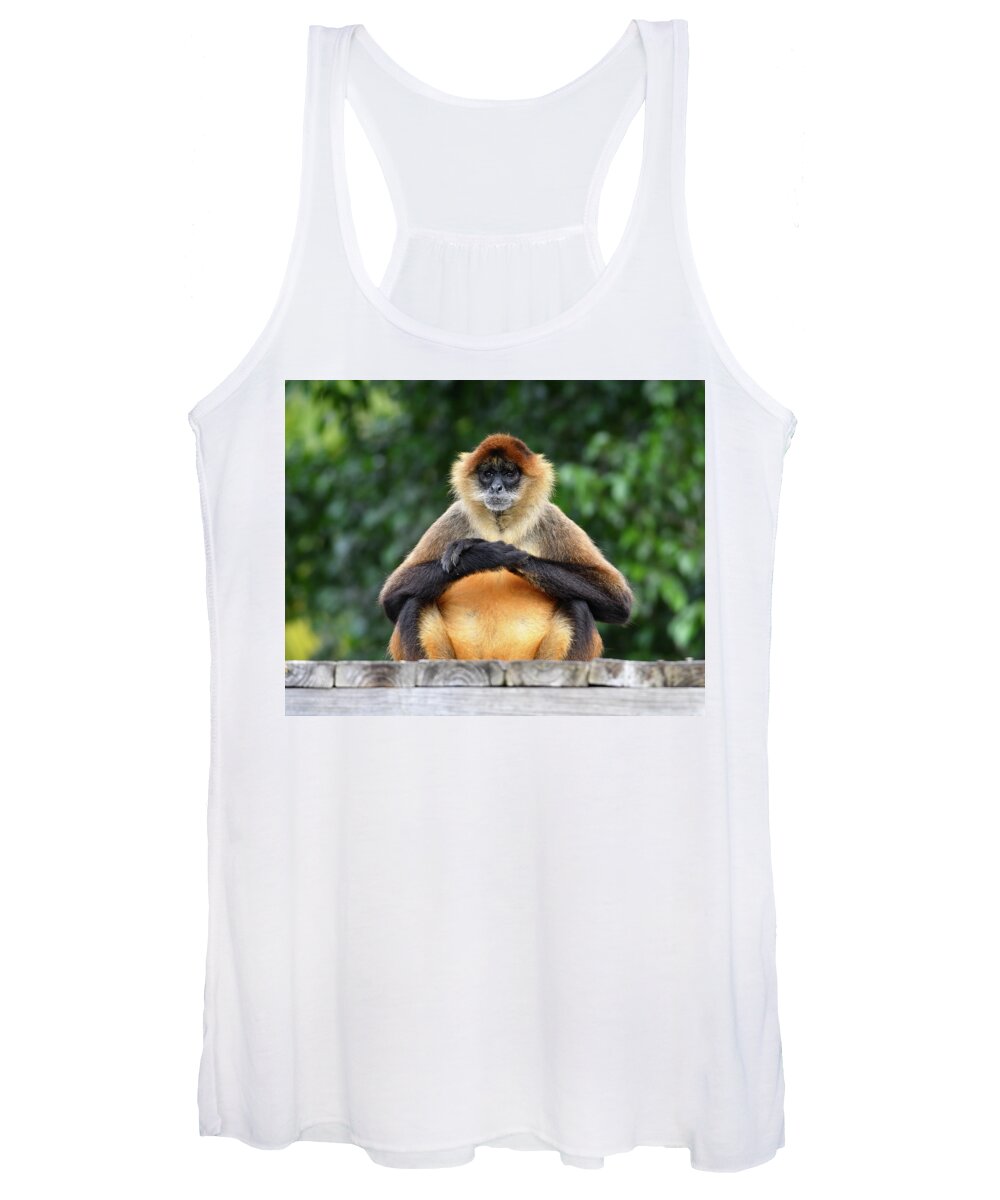 Monkey Women's Tank Top featuring the photograph Seated Gibbon by Artful Imagery