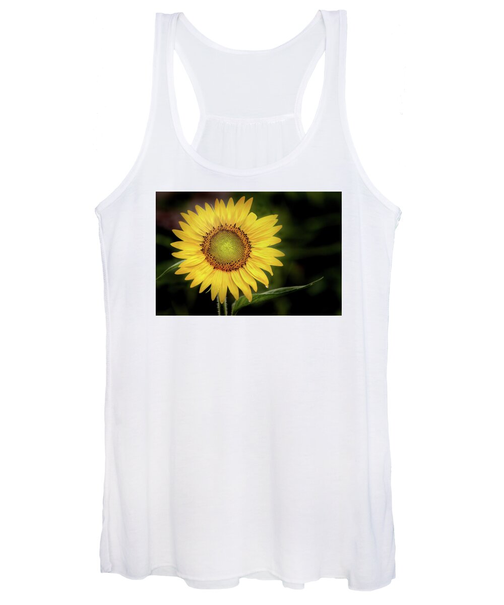 Flower Women's Tank Top featuring the photograph Summer Sunflower by Don Johnson