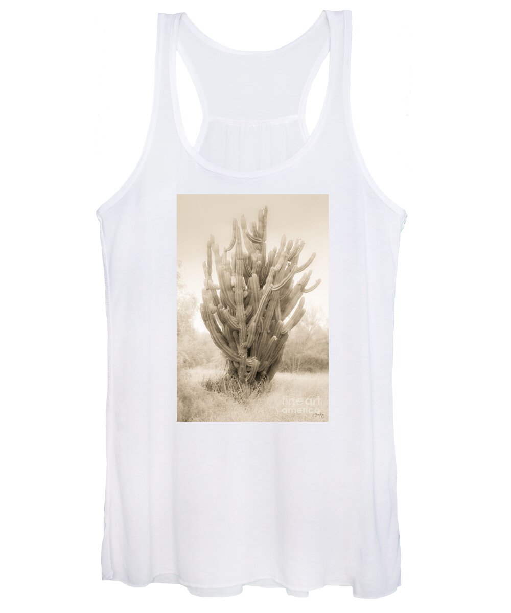 Tall Cactus Women's Tank Top featuring the photograph Tall Cactus in Sepia by Imagery by Charly