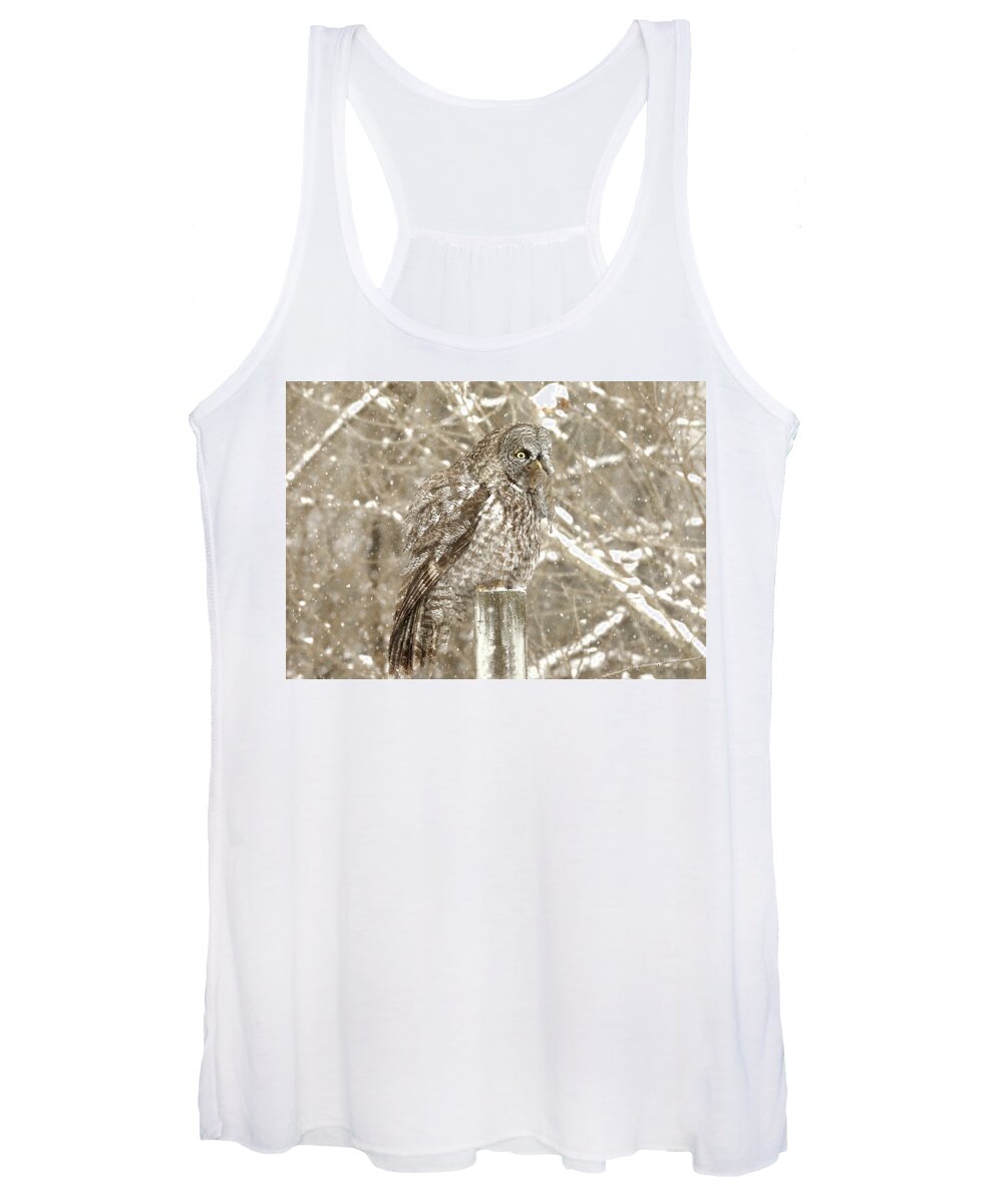 Owl Women's Tank Top featuring the photograph The Owl and the Vole by Duane Cross