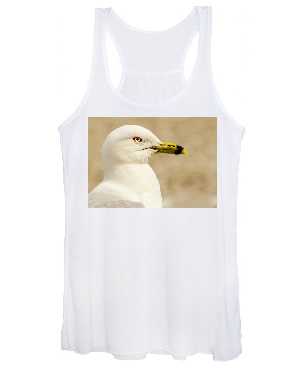 Great Lakes Gull Women's Tank Top featuring the photograph The Proud Gull by John Roach