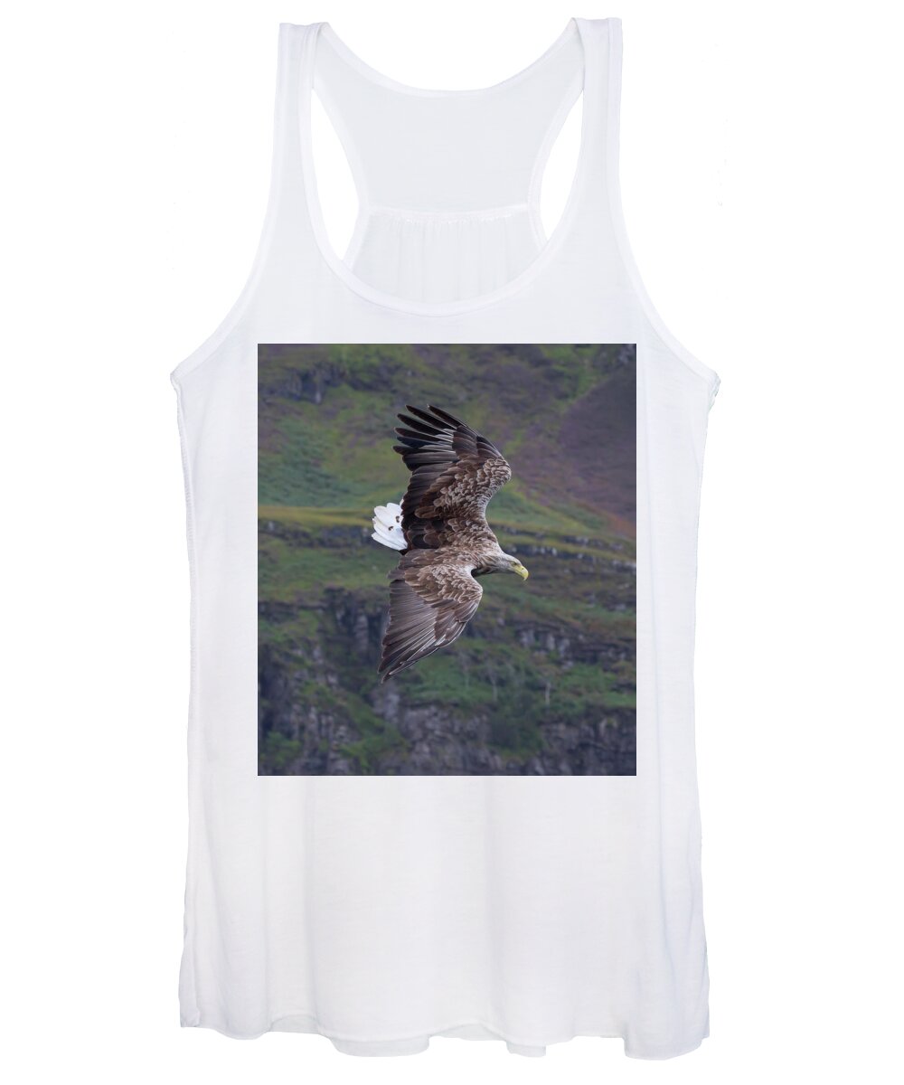 White-tailed Eagle Women's Tank Top featuring the photograph White-Tailed Eagle Banks by Pete Walkden