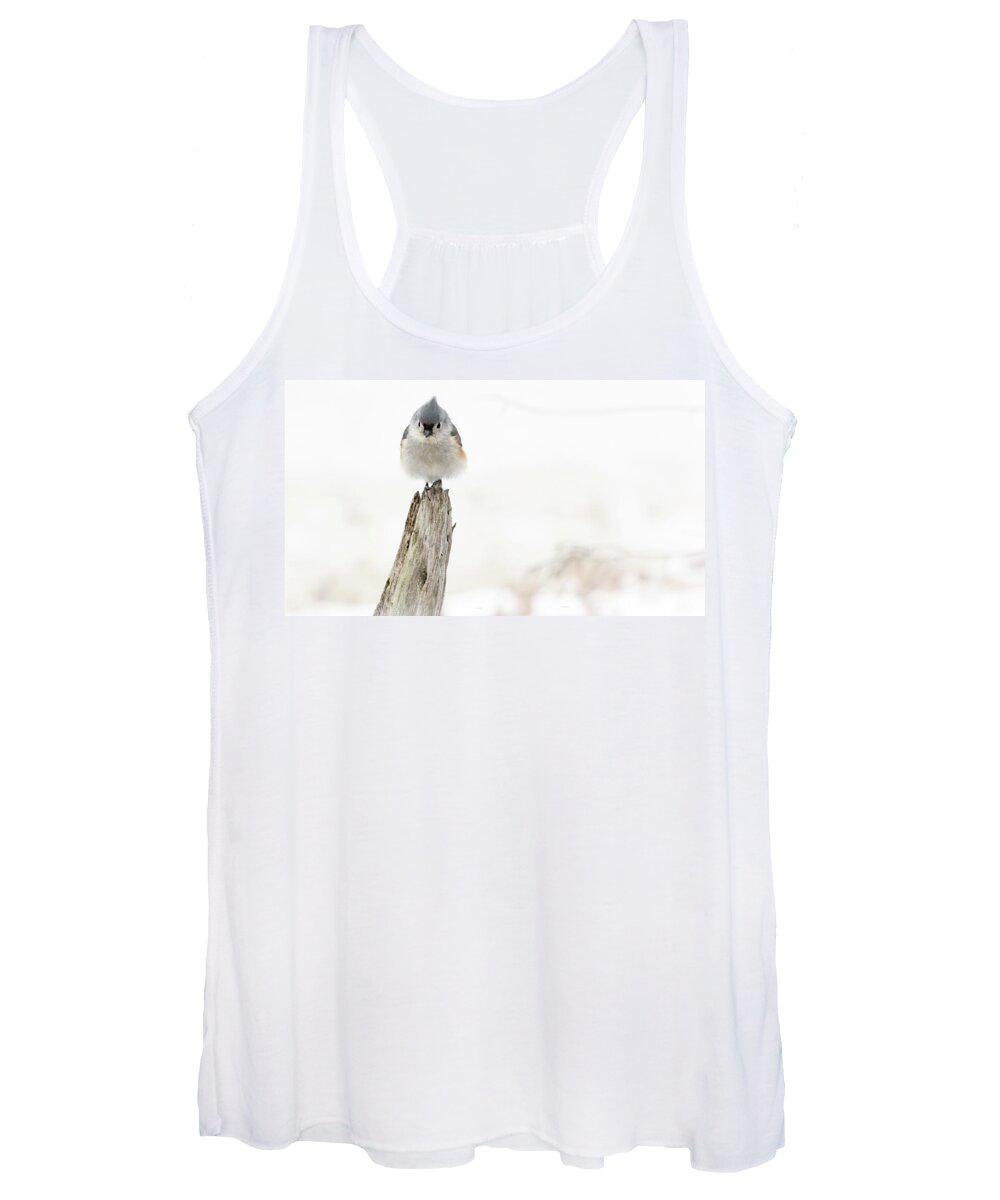 Bird Women's Tank Top featuring the photograph Winter Visit by Holly Ross
