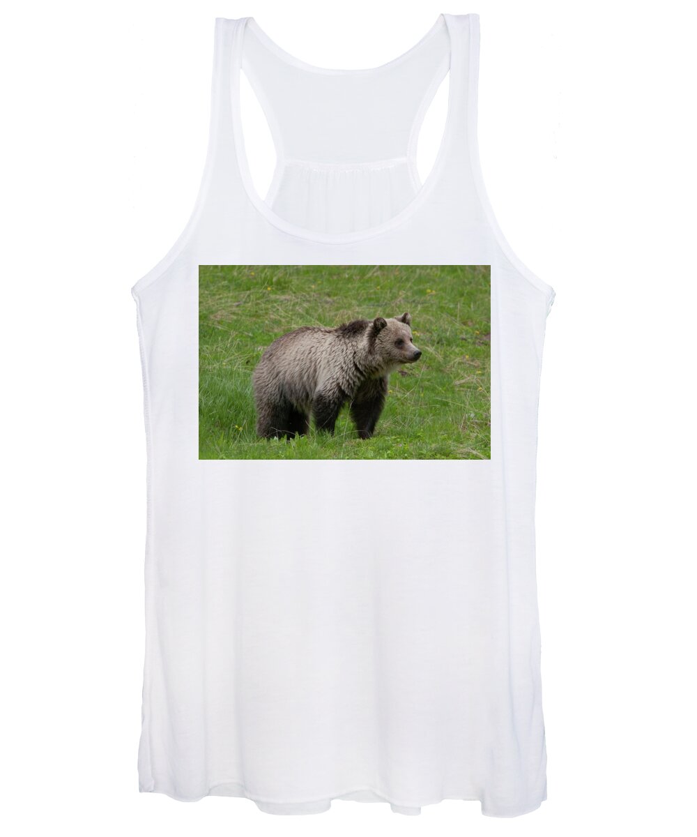 Grizzly Women's Tank Top featuring the photograph Young Grizzly by Mark Miller