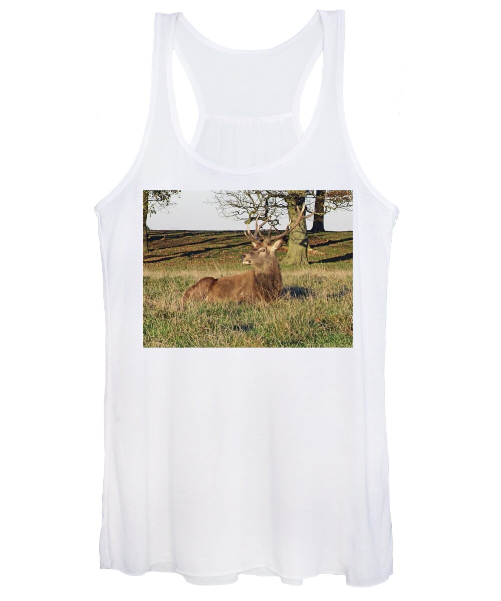 Knutsford Women's Tank Top featuring the photograph 28/11/18 TATTON PARK. Stag in The Park. by Lachlan Main