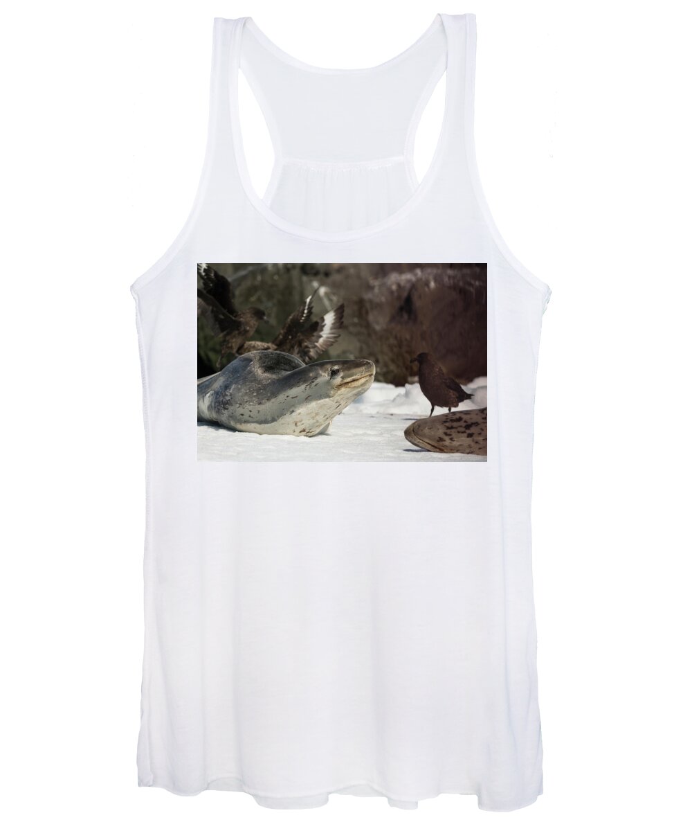 Seal Women's Tank Top featuring the photograph Deadly Charm by Alex Lapidus