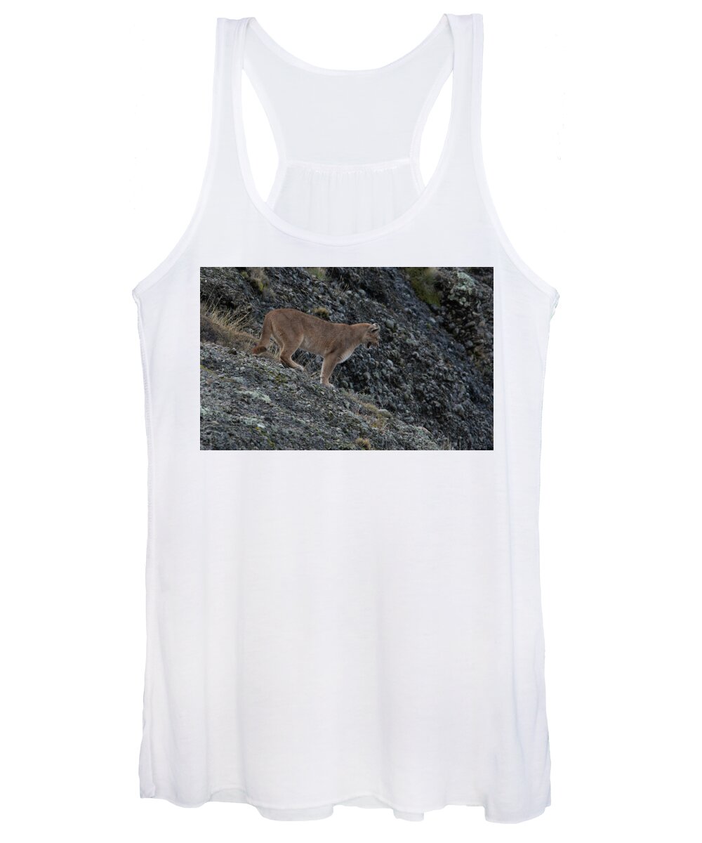 Female Women's Tank Top featuring the photograph Female Puma by Patrick Nowotny