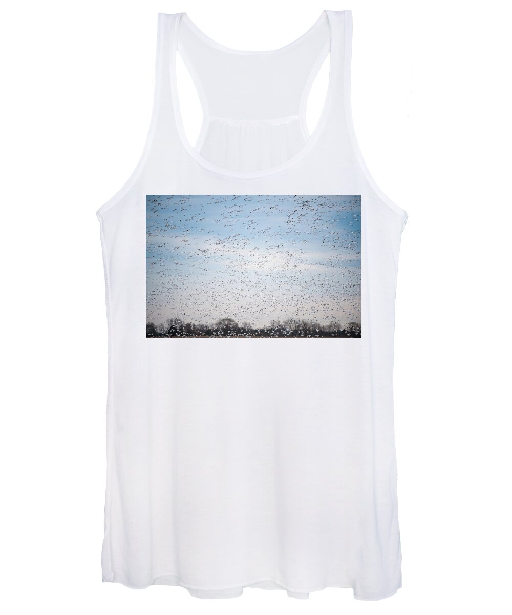 Annapolis Women's Tank Top featuring the photograph Geese in the Flyway by Mark Duehmig