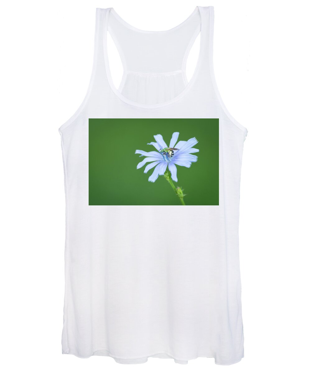Green Metallic Bee On Blue Chicory Flower Women's Tank Top featuring the photograph Green Metallic Bee on Blue Chicory Flower by Todd Henson