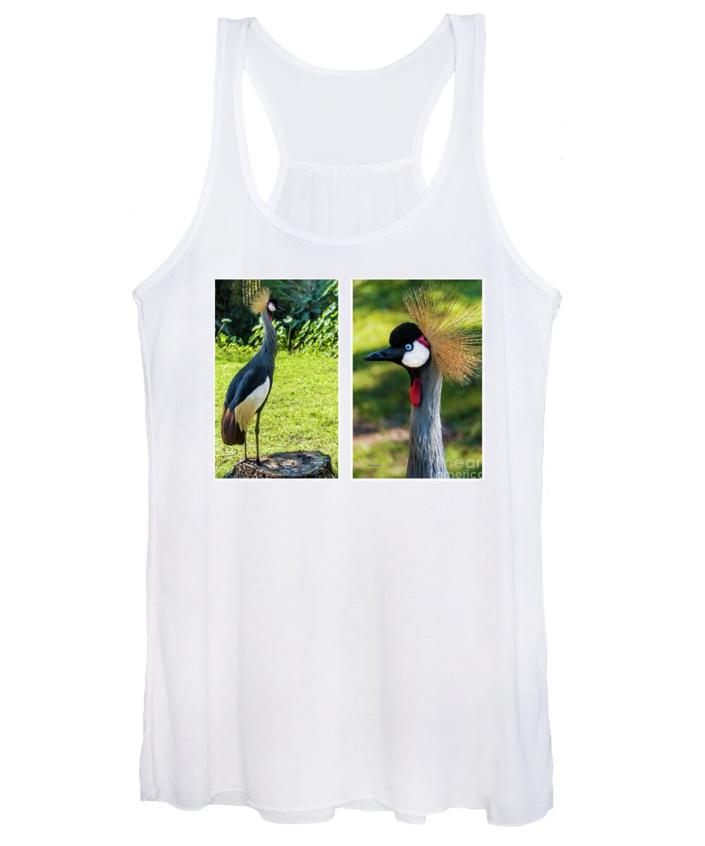 Gulf Women's Tank Top featuring the photograph Grey Crowned Crane Gulf Shores Al Collage 10 Diptych by Ricardos Creations