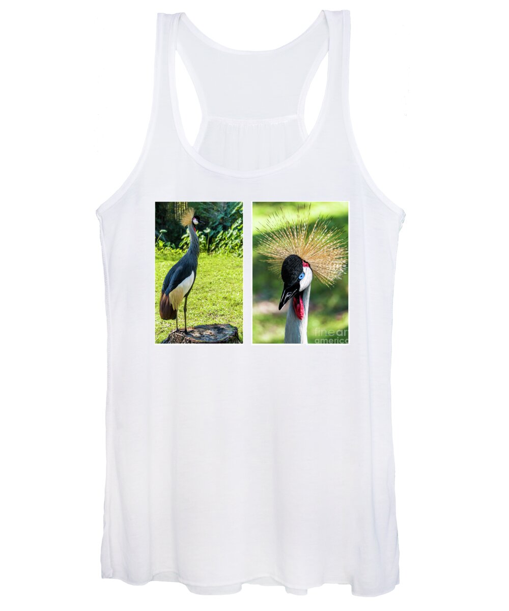 Gulf Women's Tank Top featuring the photograph Grey Crowned Crane Gulf Shores Al Collage 8 Diptych by Ricardos Creations