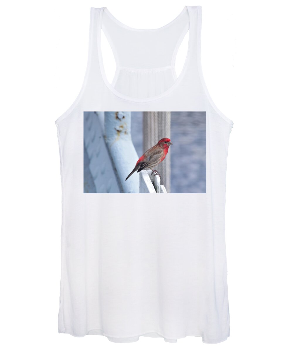 Finch Women's Tank Top featuring the photograph House Finch on the U.S.S. Wisconsin by Nicole Lloyd