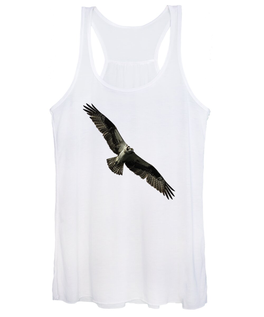Osprey Women's Tank Top featuring the photograph Isolated Osprey 2019-4 by Thomas Young