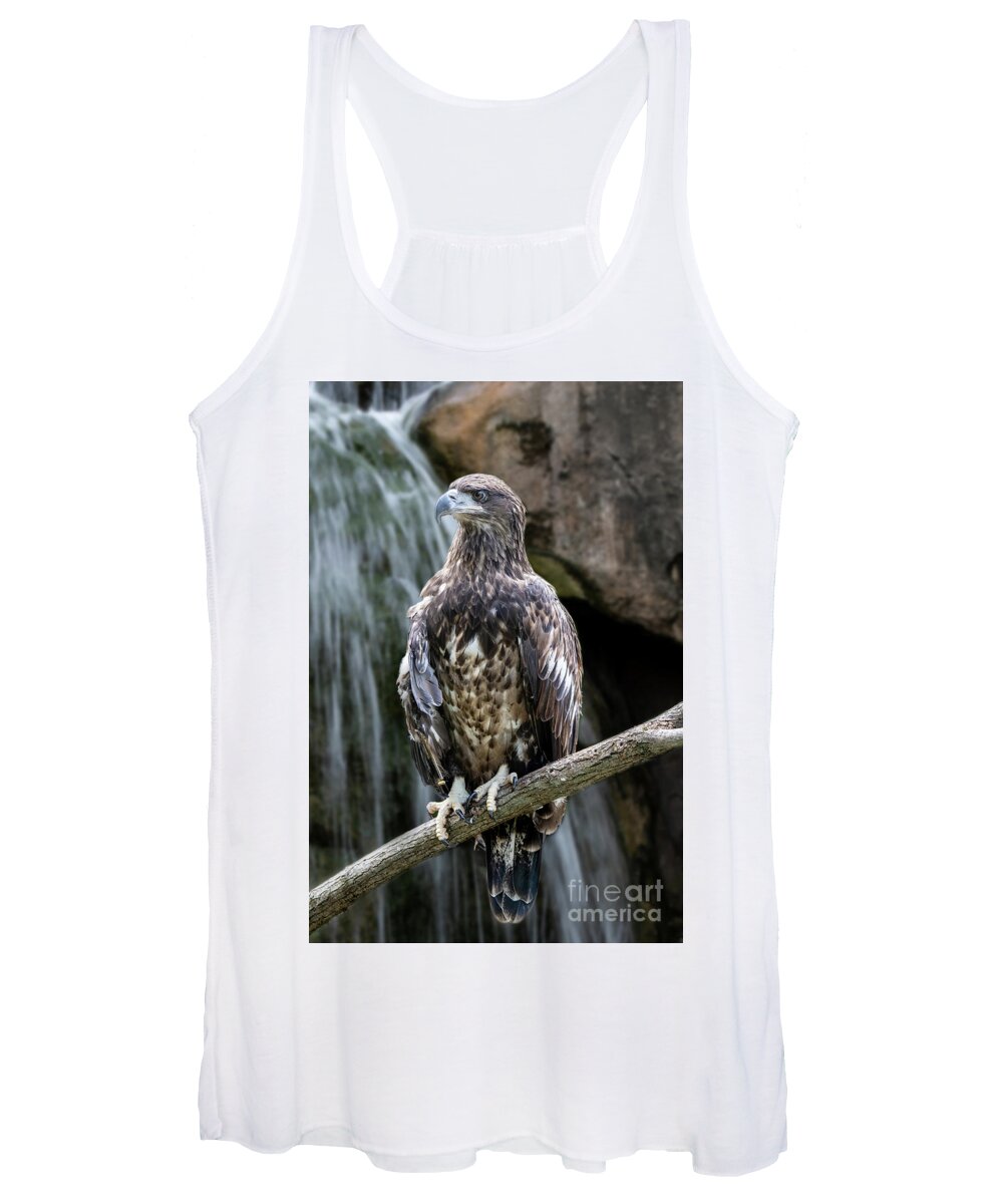 Fish Women's Tank Top featuring the photograph Juvenile Bald Eagle by Ed Taylor