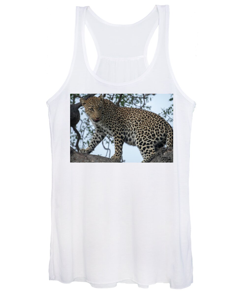 Leopard Women's Tank Top featuring the photograph Leopard Anticipation by Mark Hunter