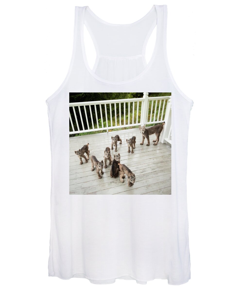 Lynx Women's Tank Top featuring the photograph Lynx Family Portrait by Tim Newton