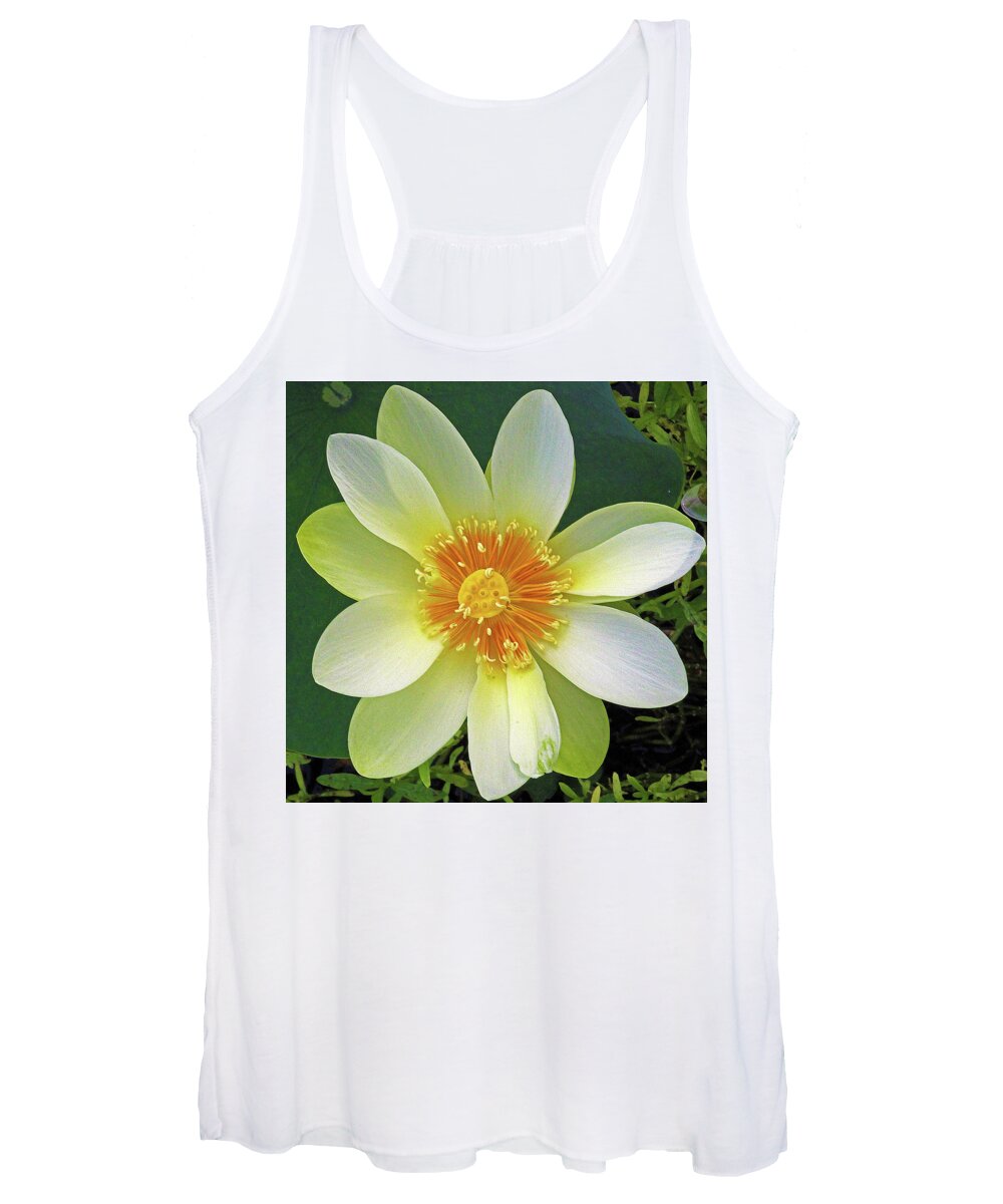 Lotus Women's Tank Top featuring the photograph Open Wide by Michael Allard