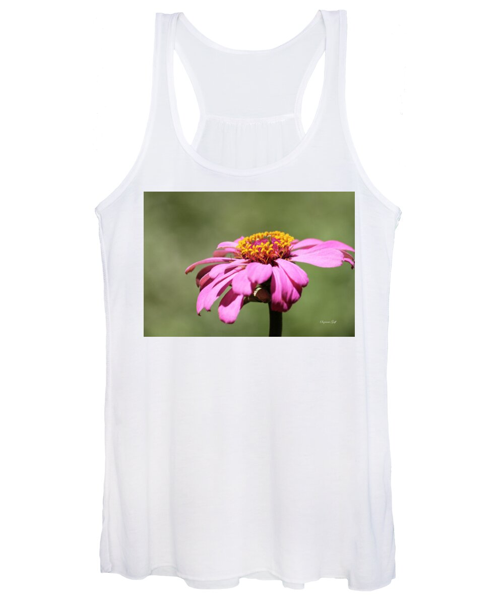Photograph Women's Tank Top featuring the photograph Pink Coneflower in Pastel by Suzanne Gaff