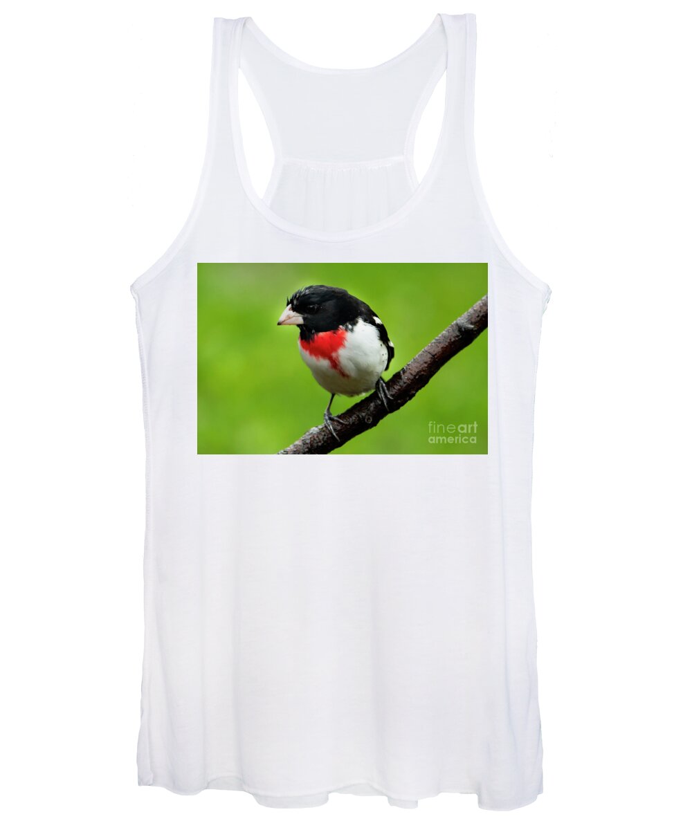 Rose Women's Tank Top featuring the photograph Rose Breasted Grosbeak by Sandra J's