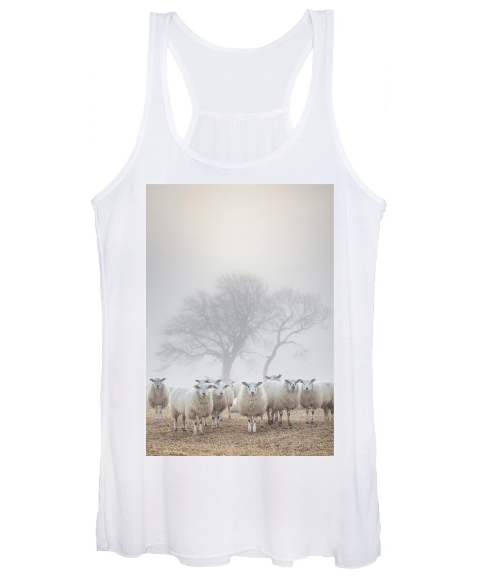 Sheep Women's Tank Top featuring the photograph Sheep in the mist by Anita Nicholson