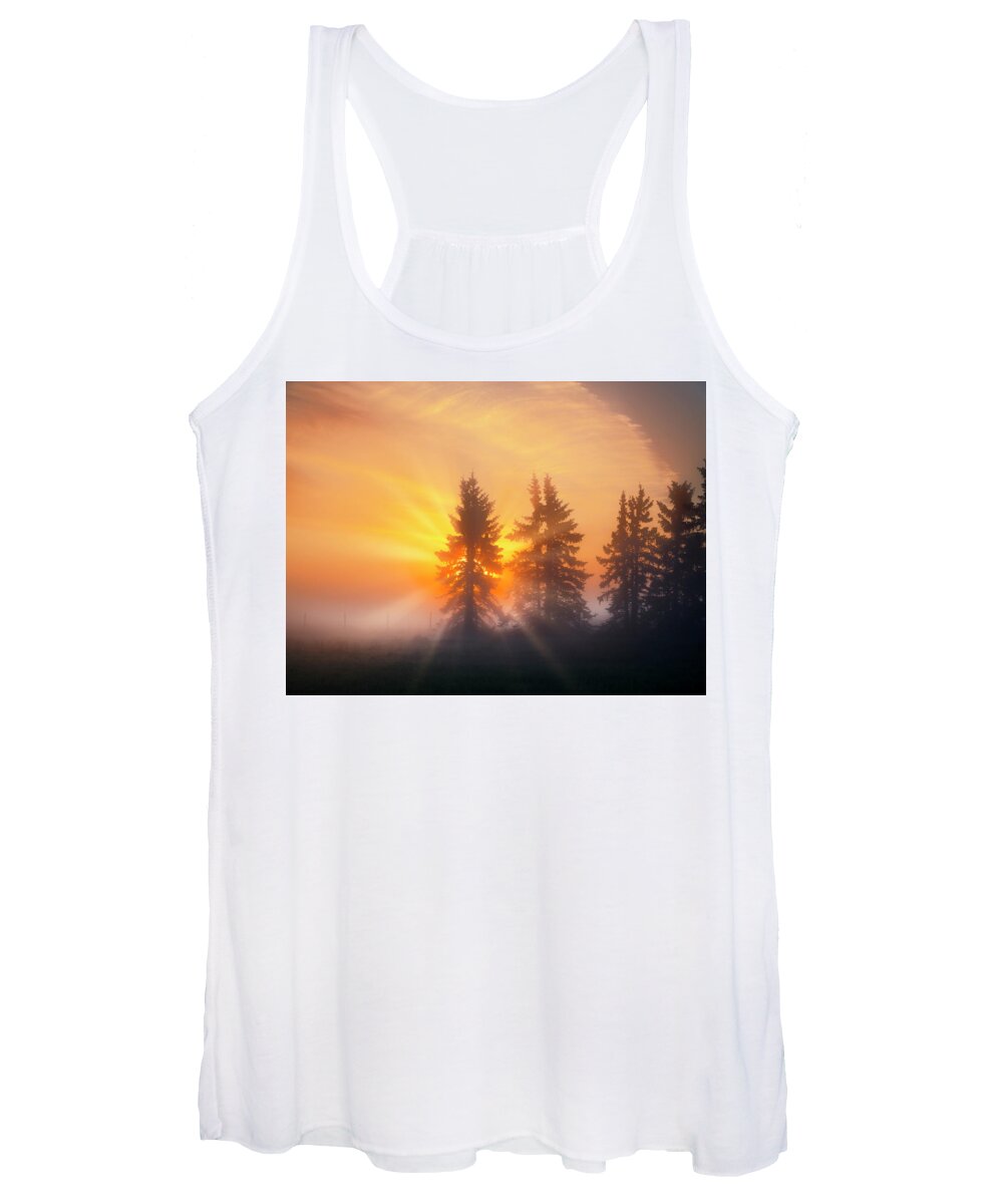 Spruce Trees Women's Tank Top featuring the photograph Spruce Trees in the Morning by Dan Jurak