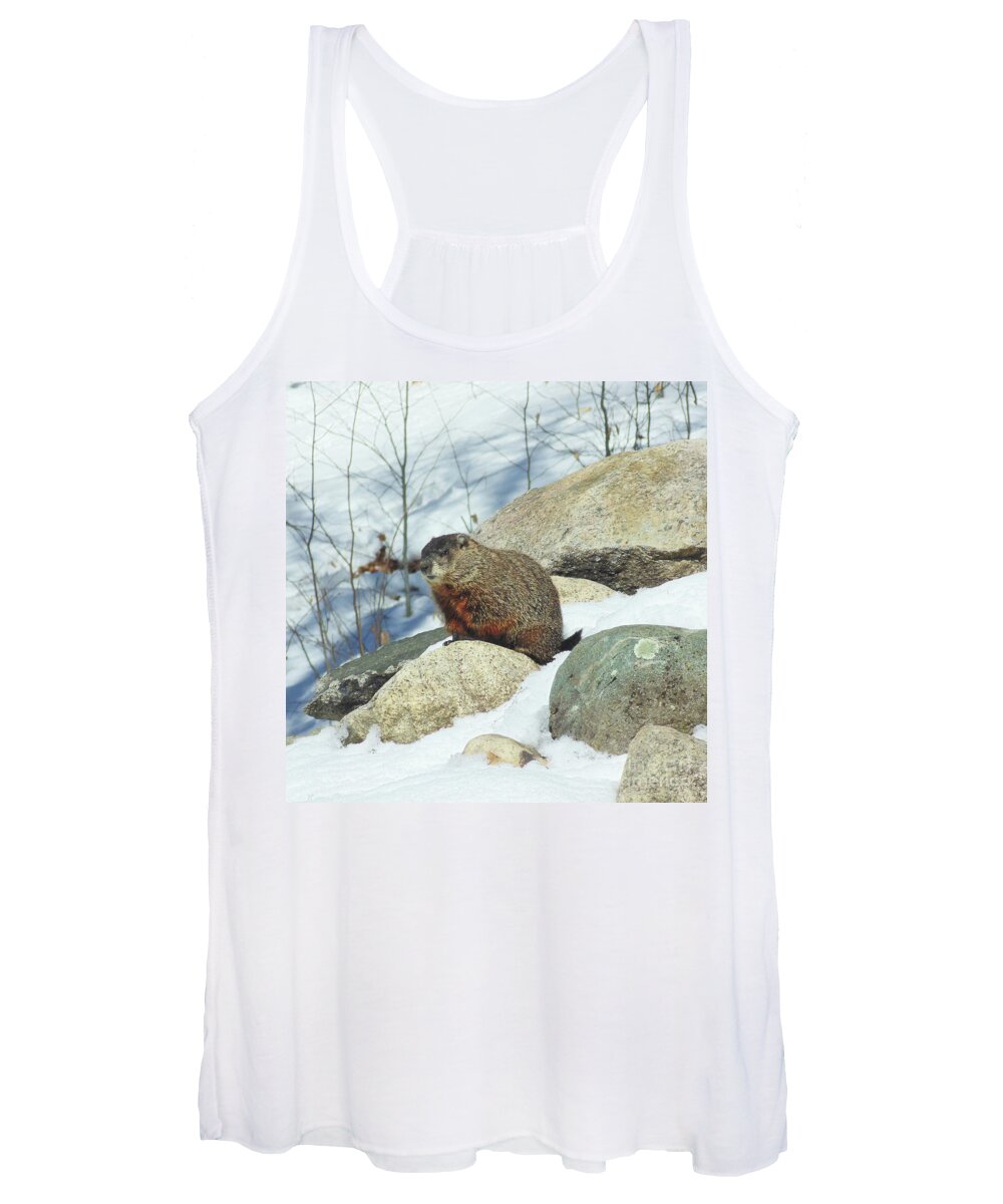 Groundhog Women's Tank Top featuring the photograph Winter Groundhog by Amy E Fraser