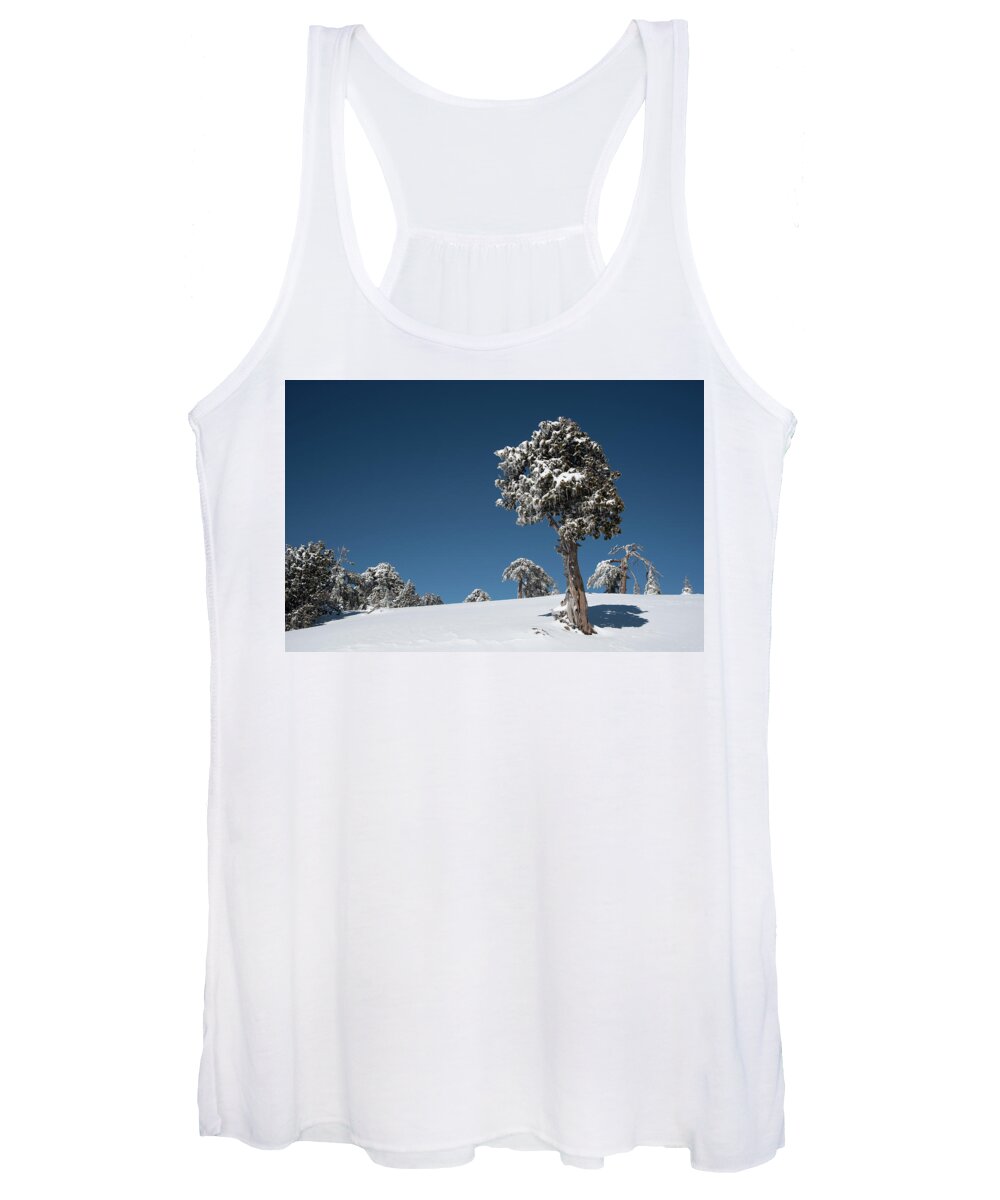 Single Tree Women's Tank Top featuring the photograph Winter landscape in snowy mountains. Frozen snowy lonely fir trees against blue sky. #1 by Michalakis Ppalis