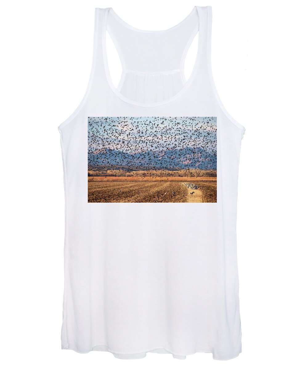 Birds Women's Tank Top featuring the photograph 4 and 20 Hundred Blackbirds by Mary Lee Dereske