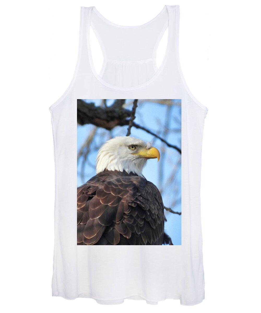 American Bald Eagle Women's Tank Top featuring the photograph Always Alert by Jack Wilson