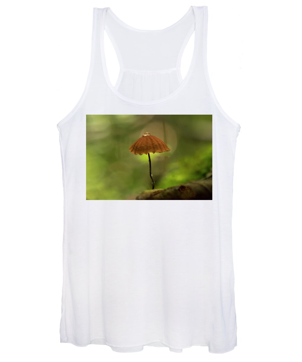 Fungus Women's Tank Top featuring the photograph Droplet and the Mushroom, North Carolina fungus in the Uwharrie National Forest by Eric Abernethy