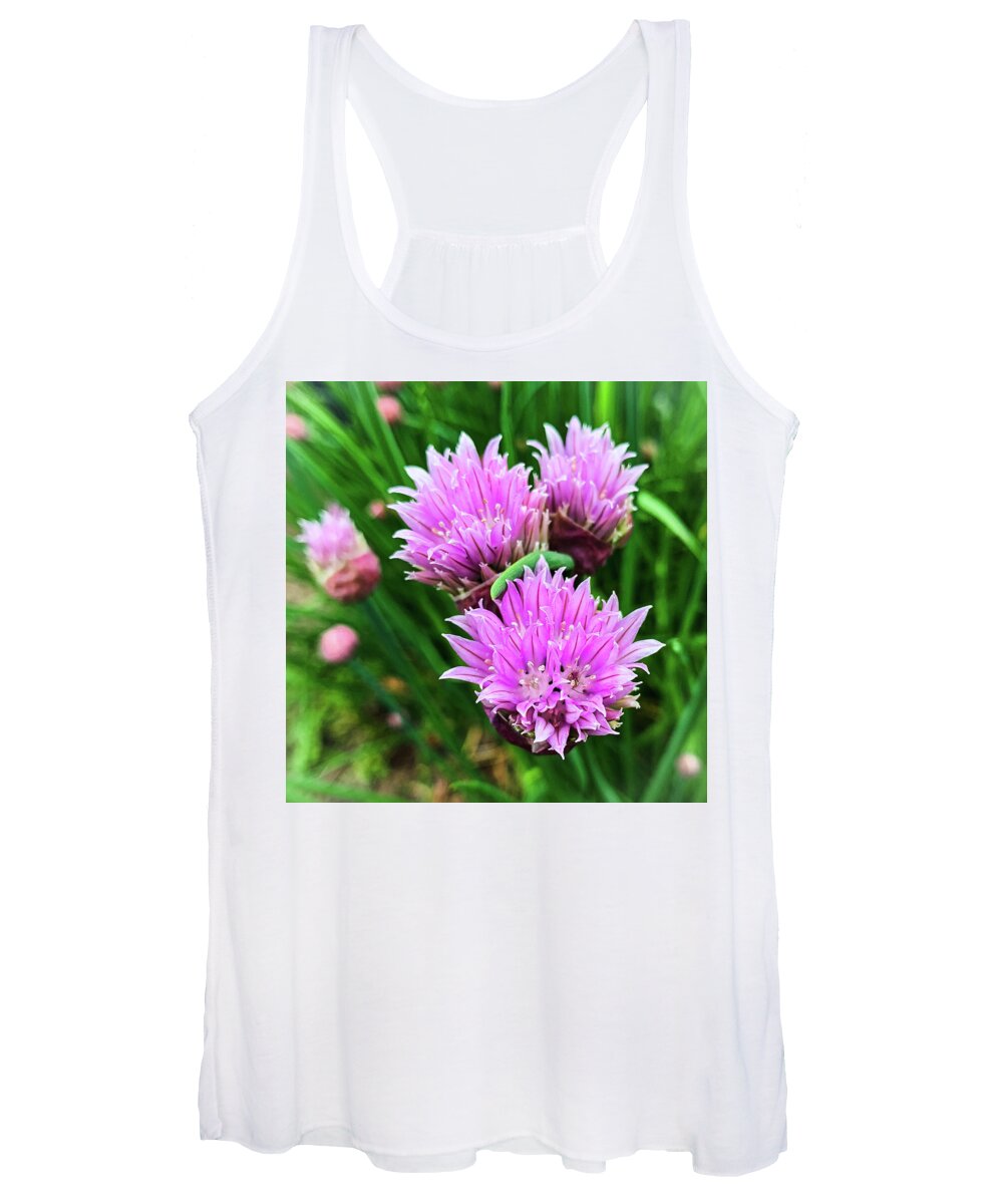 Chives Women's Tank Top featuring the photograph Flowering Chives by Jim Feldman