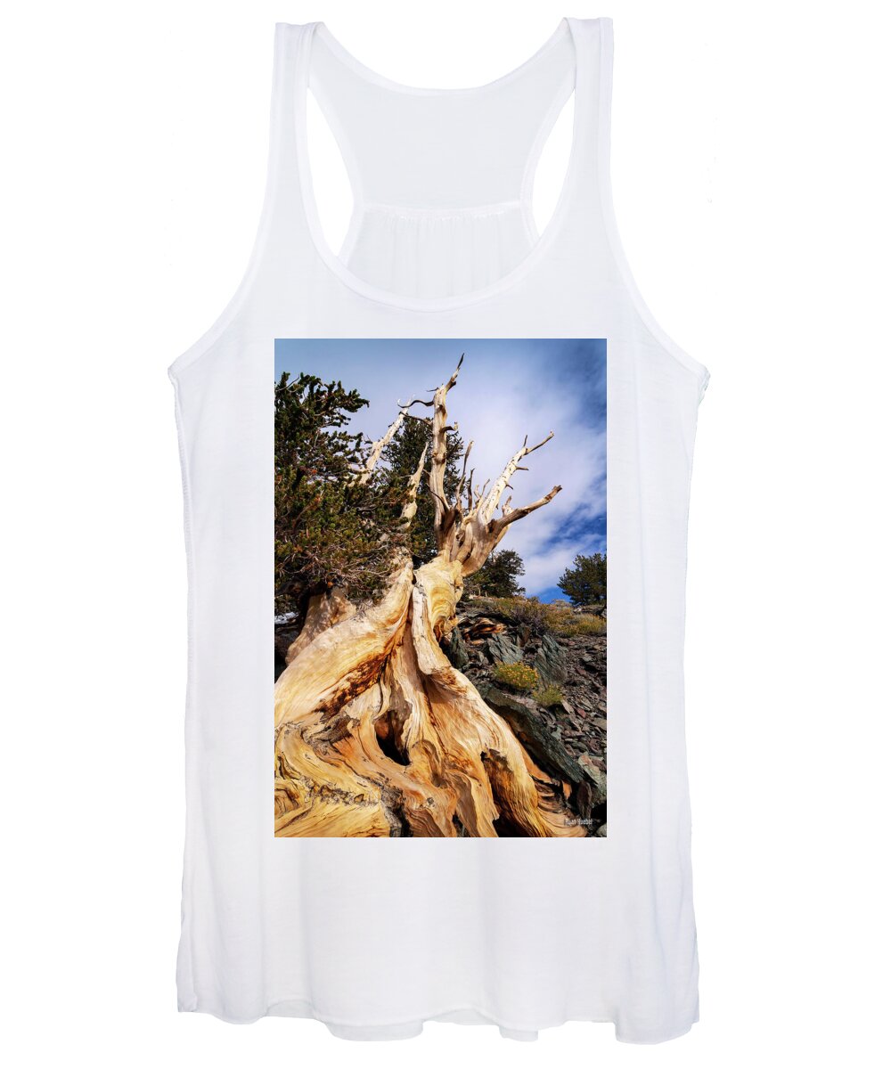 Bristlecone Pine Women's Tank Top featuring the photograph Gnarled and Alive by Ryan Huebel