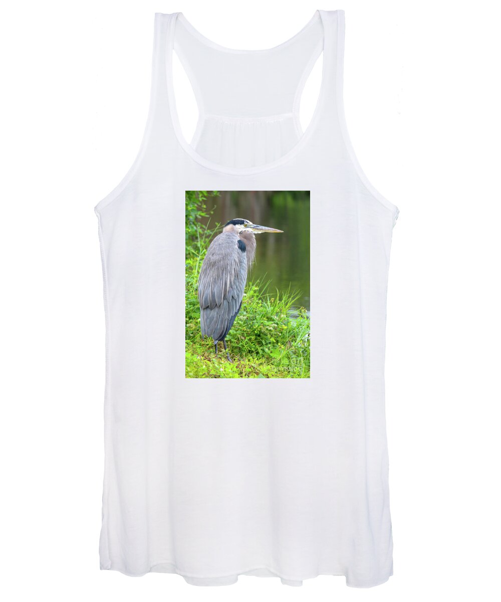  Women's Tank Top featuring the photograph Great Blue Heron at the Venice Rookery, FL by Joanne Carey