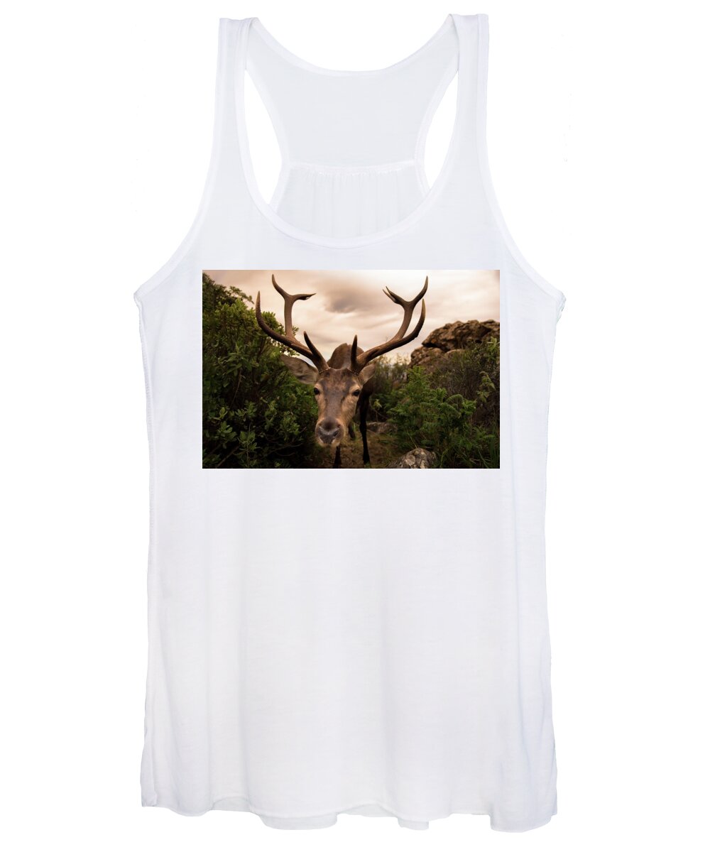 Deer Women's Tank Top featuring the photograph Hideout Discovered by Naomi Maya