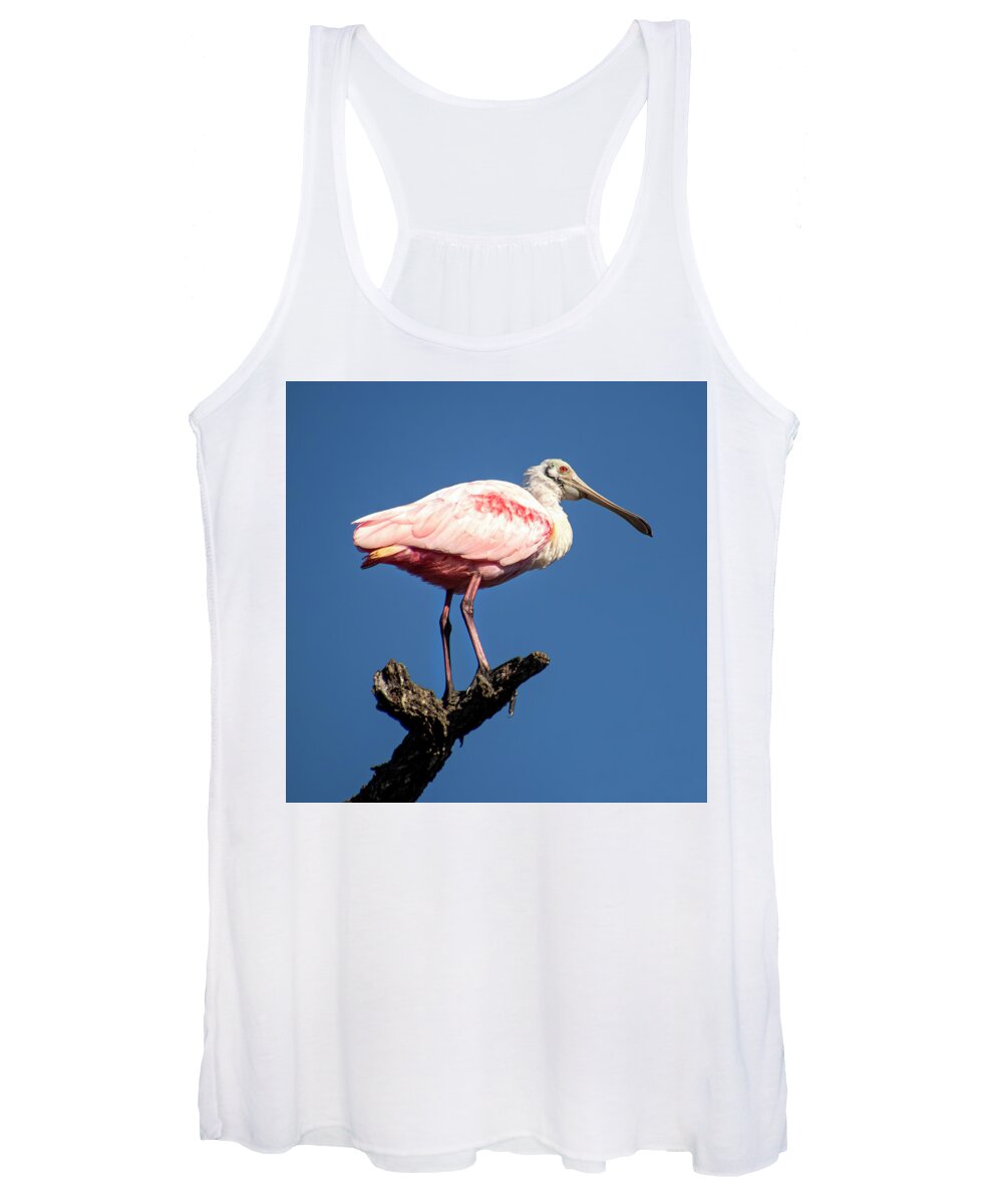 Roseate Spoonbill Women's Tank Top featuring the photograph High and Mightly Roseate Spoonbill by Mary Buck