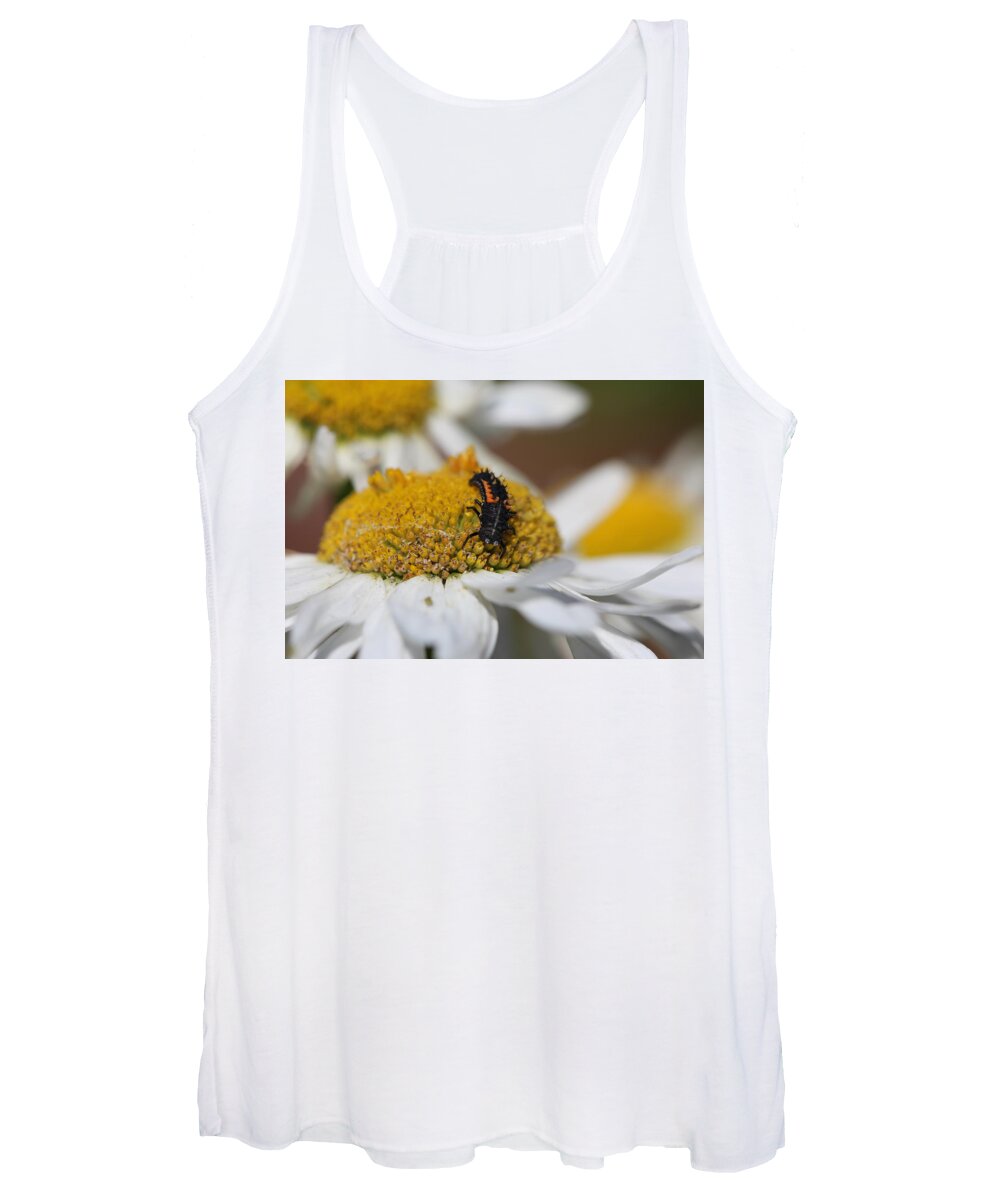  Women's Tank Top featuring the photograph Ladybird Larvae On A Daisy by Tom Conway