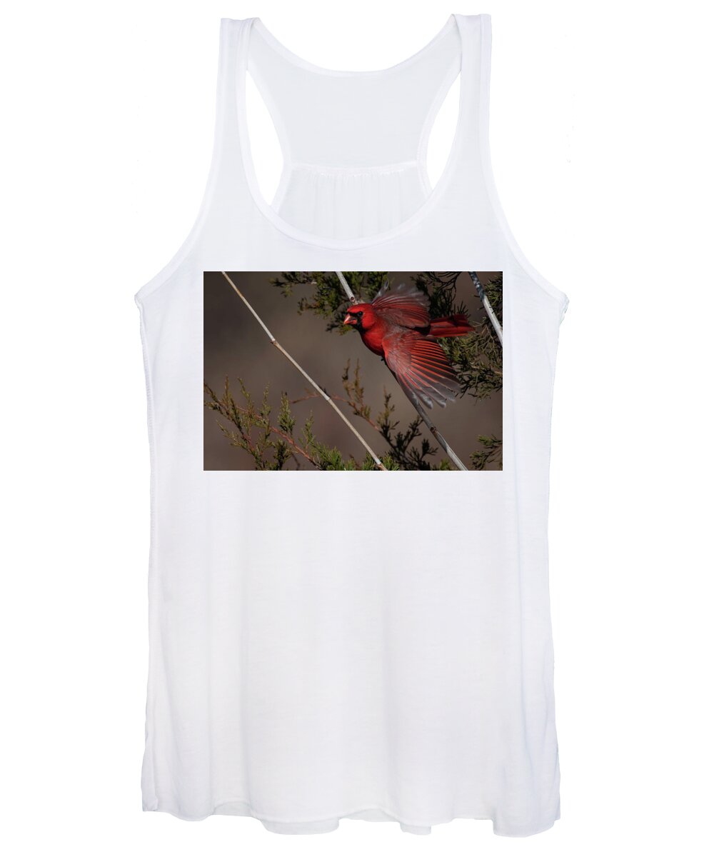 Nature Women's Tank Top featuring the photograph On the Fly by Linda Shannon Morgan