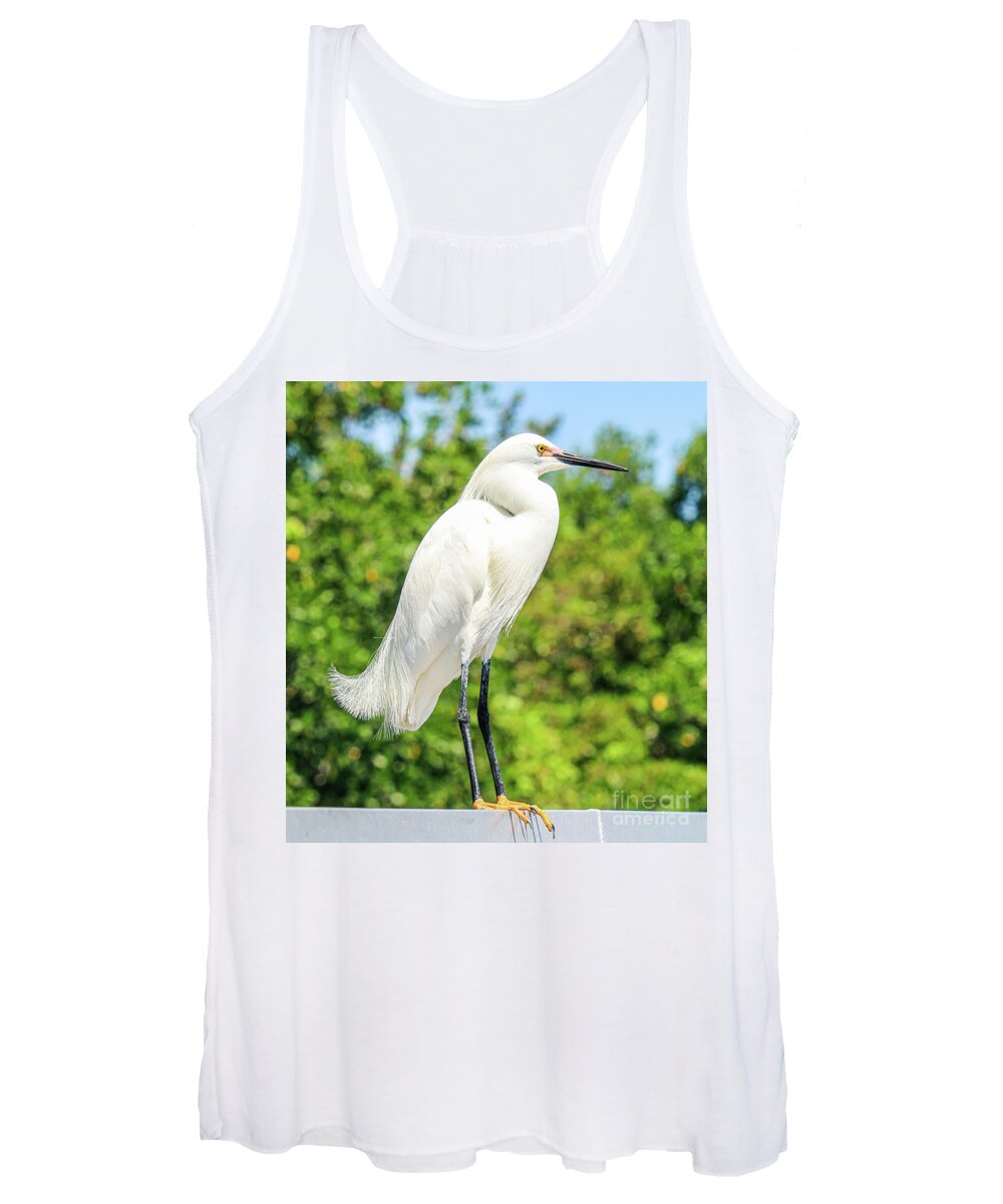 Snowy Egret Women's Tank Top featuring the photograph Snowy Egret 2 by Joanne Carey