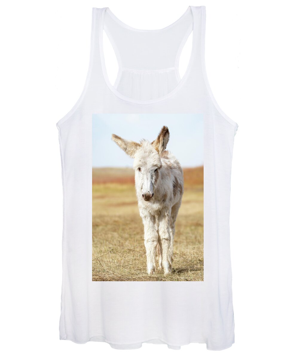 Wild Burros Women's Tank Top featuring the photograph The cuteness by Mary Hone