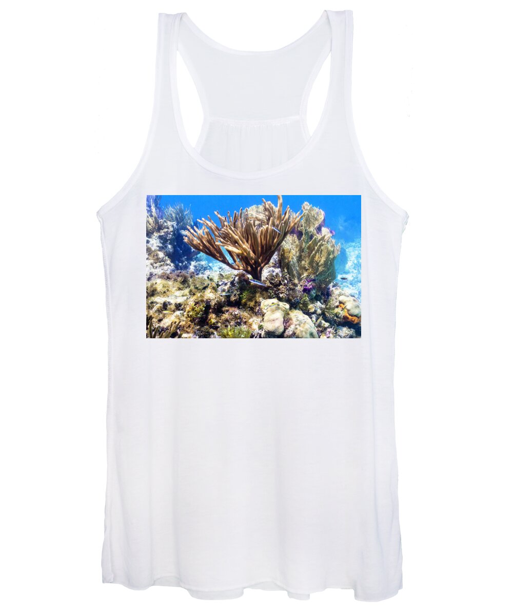 Coral Women's Tank Top featuring the photograph The Nursery by Lynne Browne