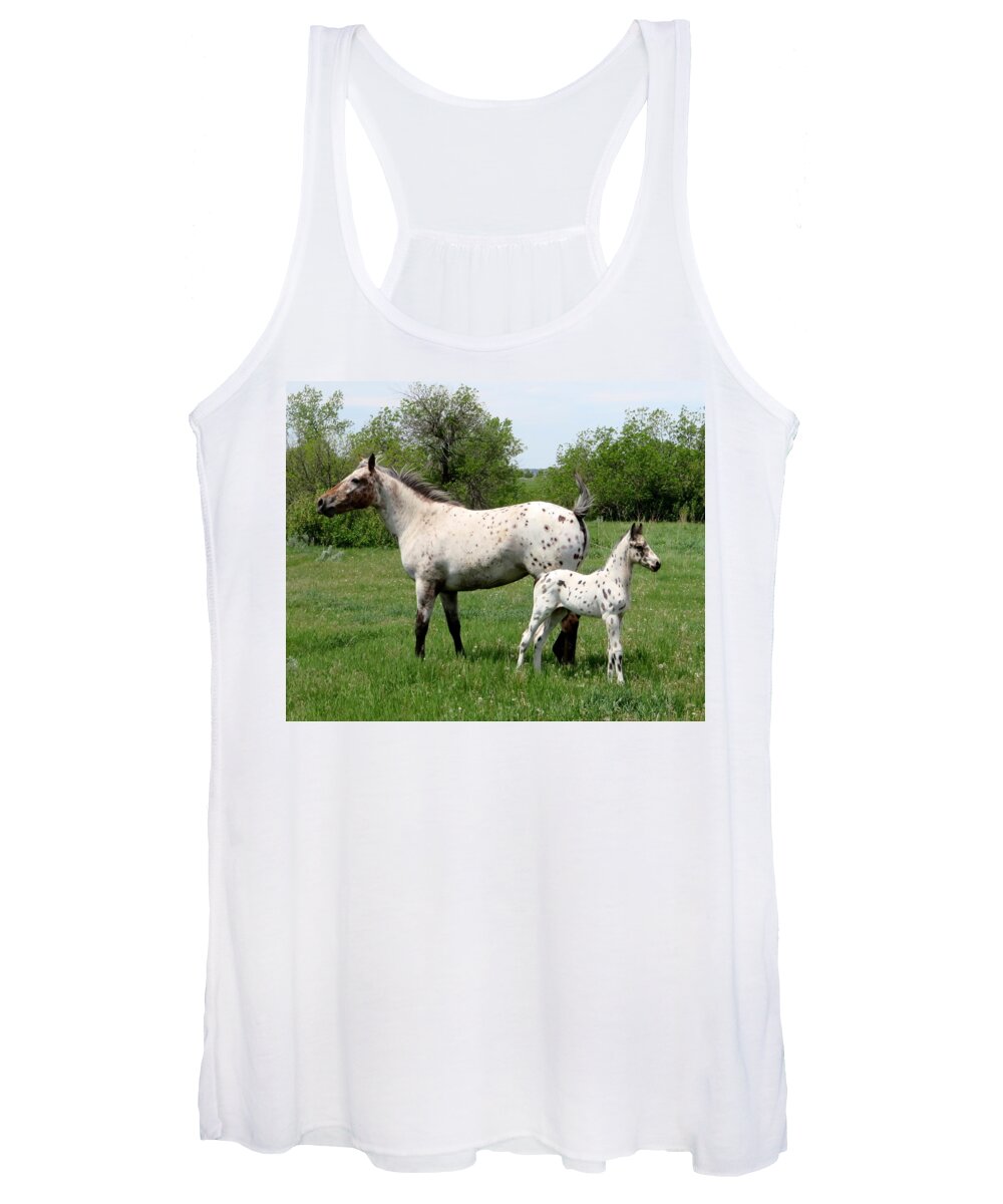 Appaloosa Women's Tank Top featuring the photograph Which Way?  by Katie Keenan