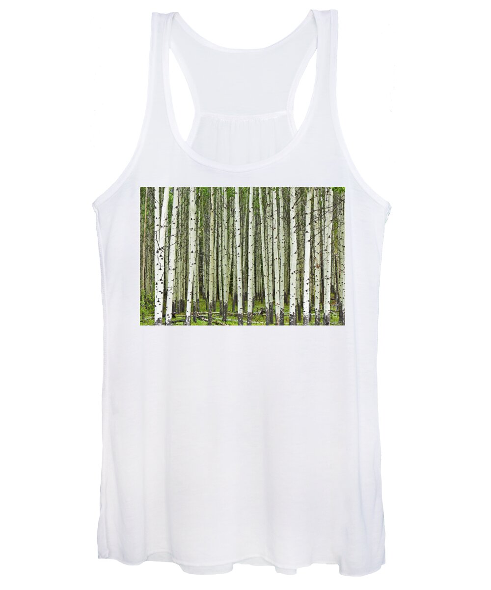 Trunk Women's Tank Top featuring the photograph White Aspen tree trunks by Neale And Judith Clark