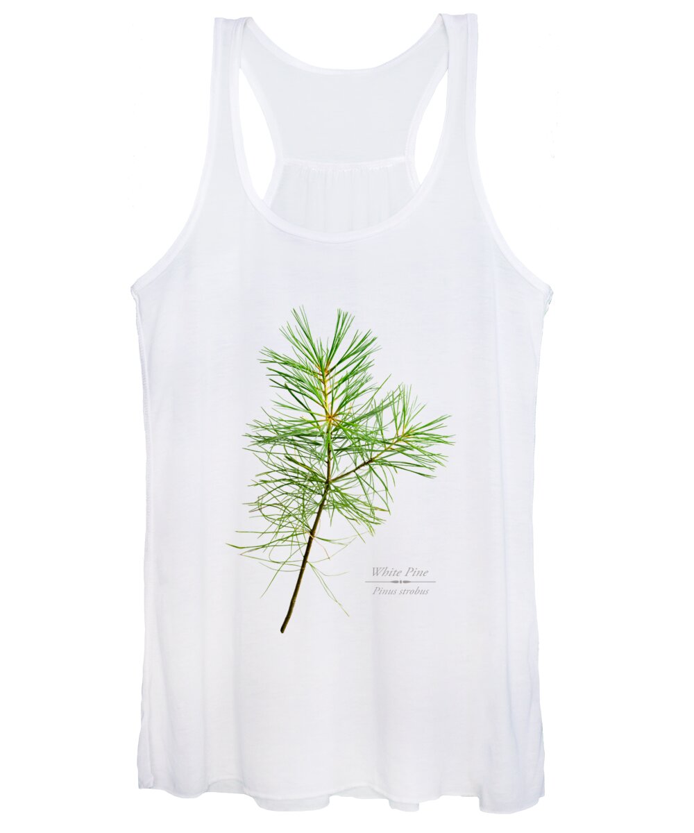 White Pine Women's Tank Top featuring the mixed media White Pine by Christina Rollo