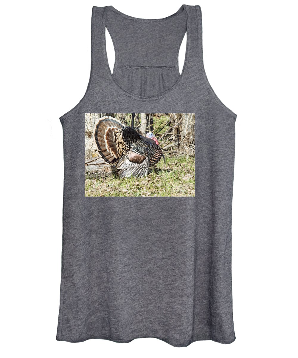 Turkey Women's Tank Top featuring the photograph Turkey Tom #1 by Gary Beeler