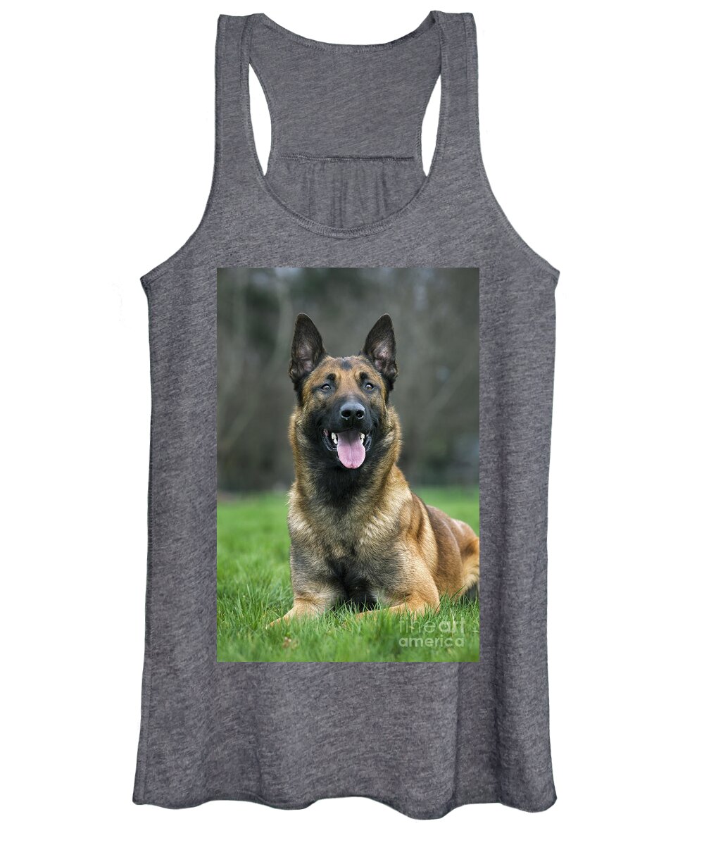 Belgian Shepherd Dog Women's Tank Top featuring the photograph 101130p022 by Arterra Picture Library